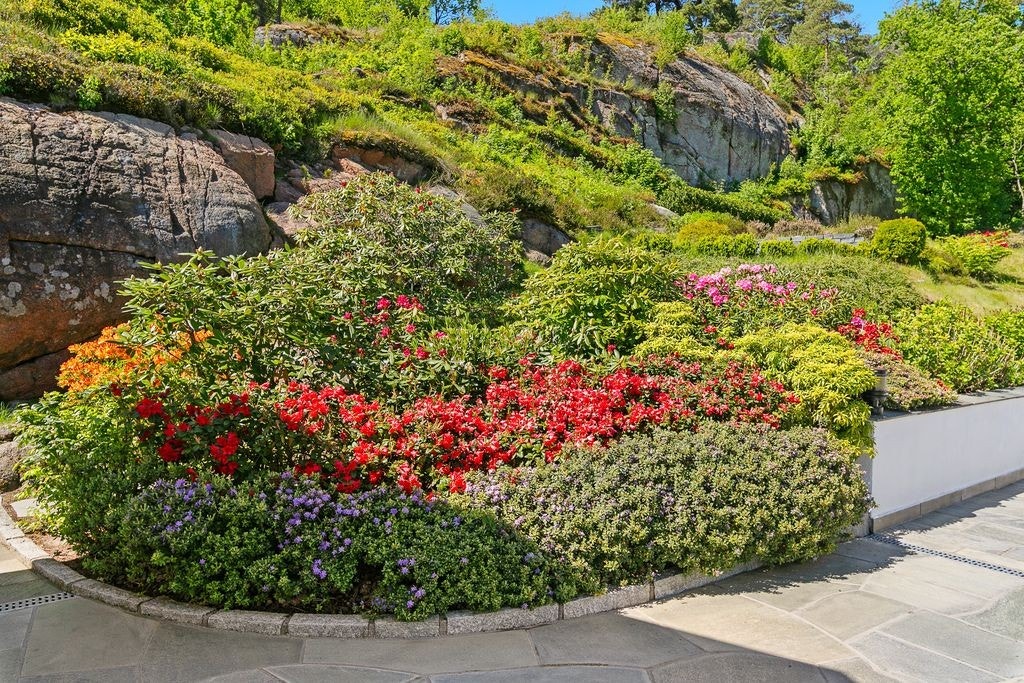 Flott beplantning Galleribilde