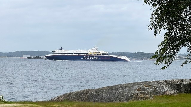 Utsikt Galleribilde