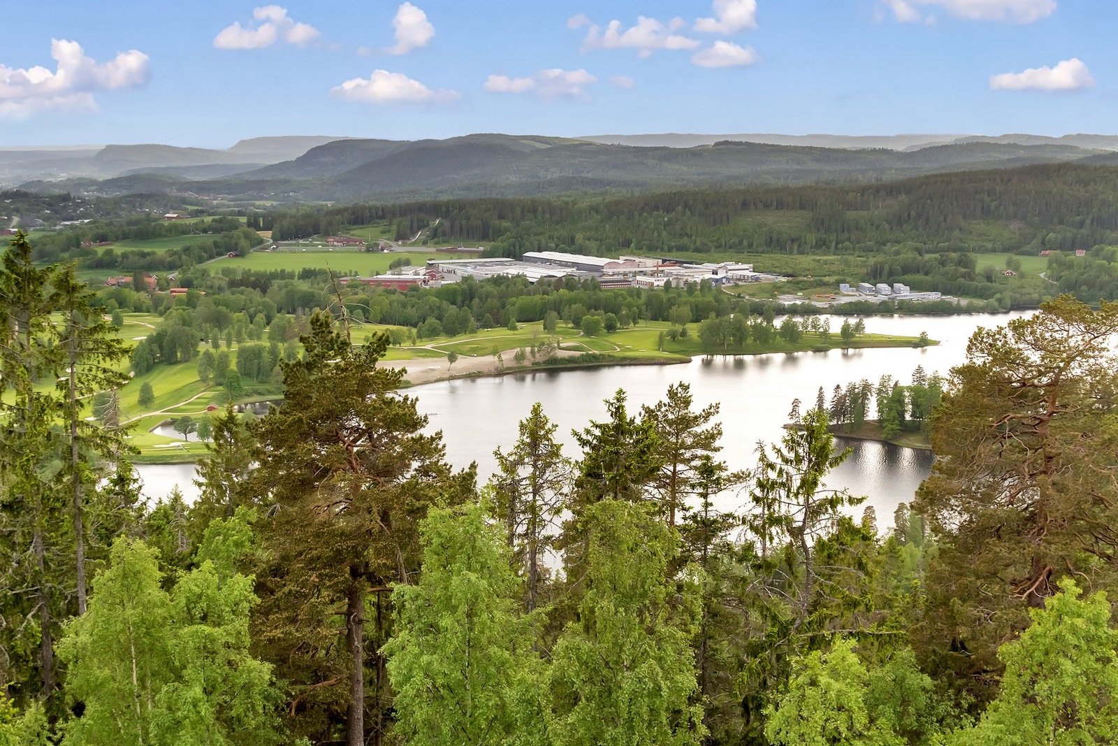 Det er tidvis ganske bra fluefiske i innoset til Bogstadvannet. Galleribilde