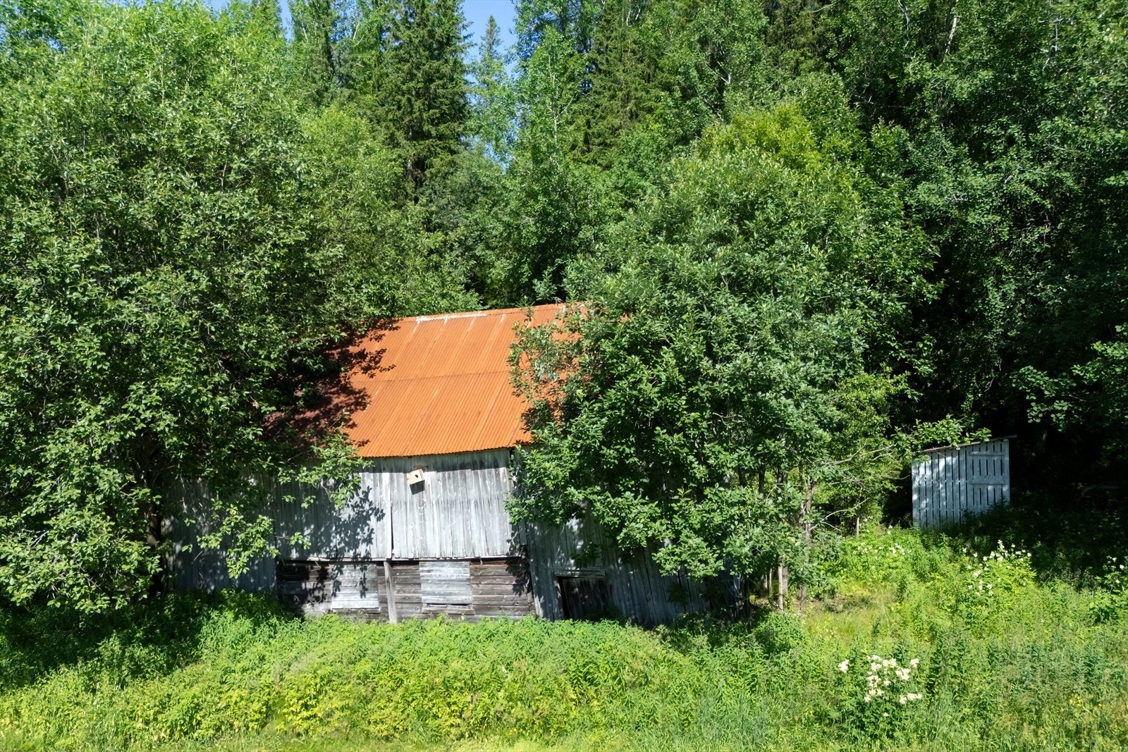 Fjøsen, saghuset og den gamle sommerfjøsen er rivningsklar. Det er også vedsilo på eiendommen. Galleribilde