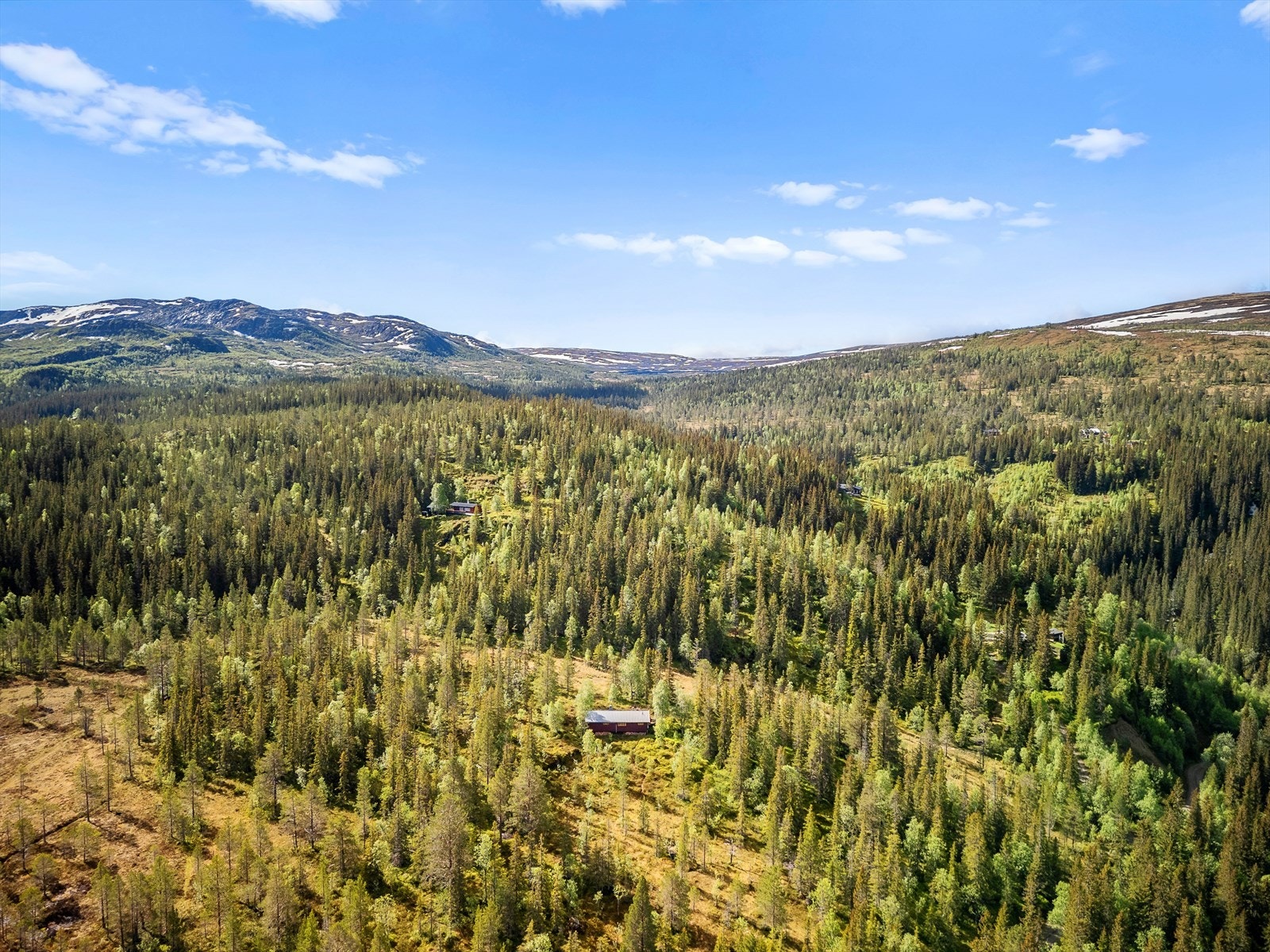 Hytta ligger i et område som byr på flotte turmuligheter året rundt - enten du vil plukke bær, utforske fjellet eller bare nyte naturen rett utenfor døra. Galleribilde