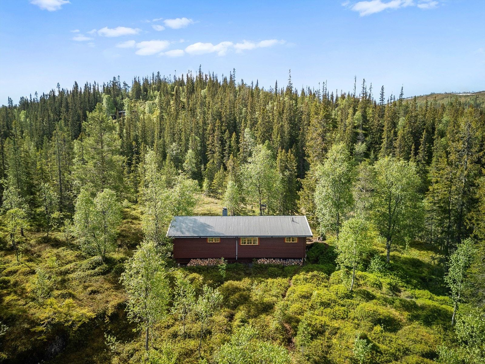 Velkommen til en hyggelig visning! Galleribilde