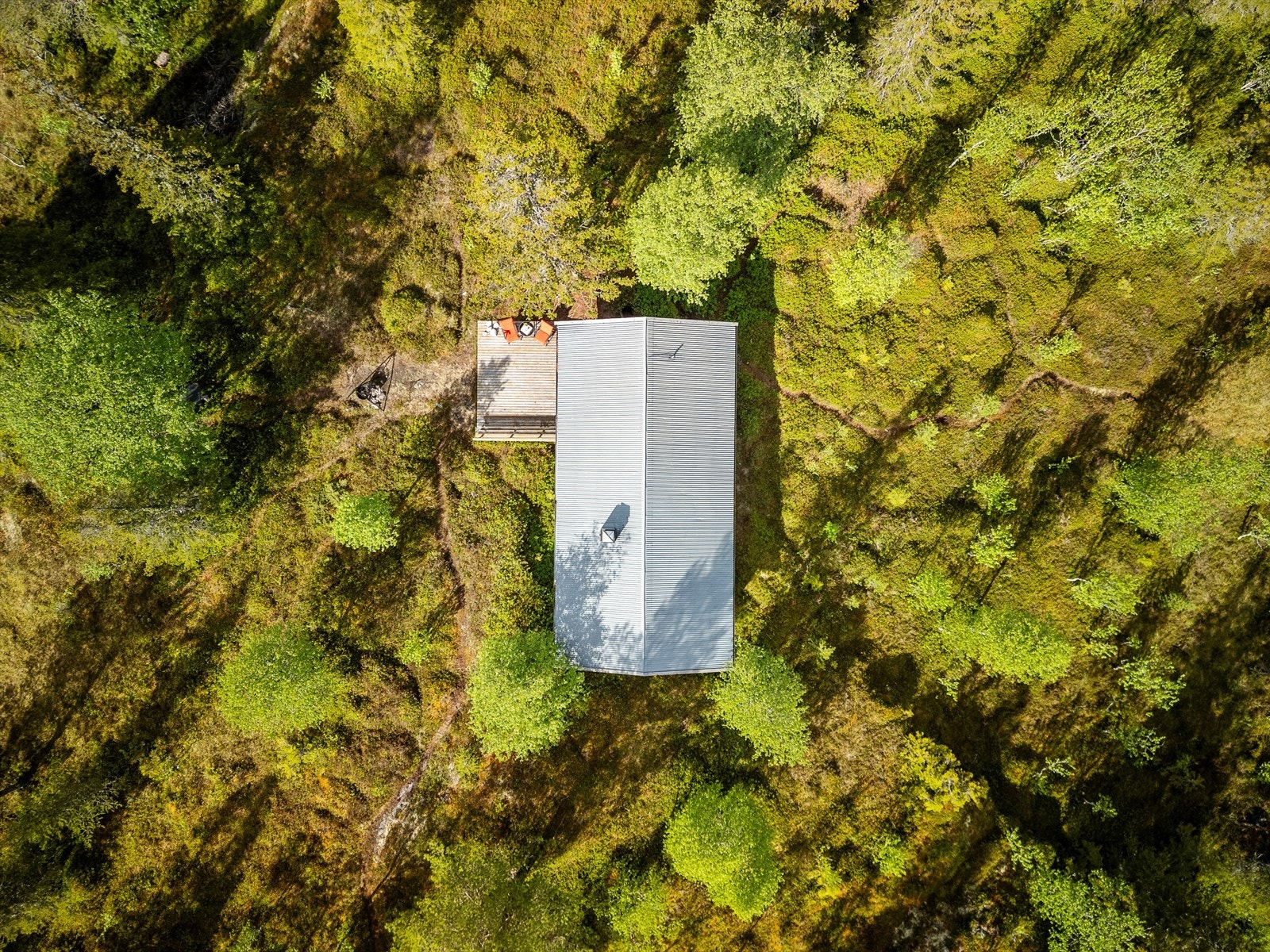 Dronefoto av tomten. Galleribilde