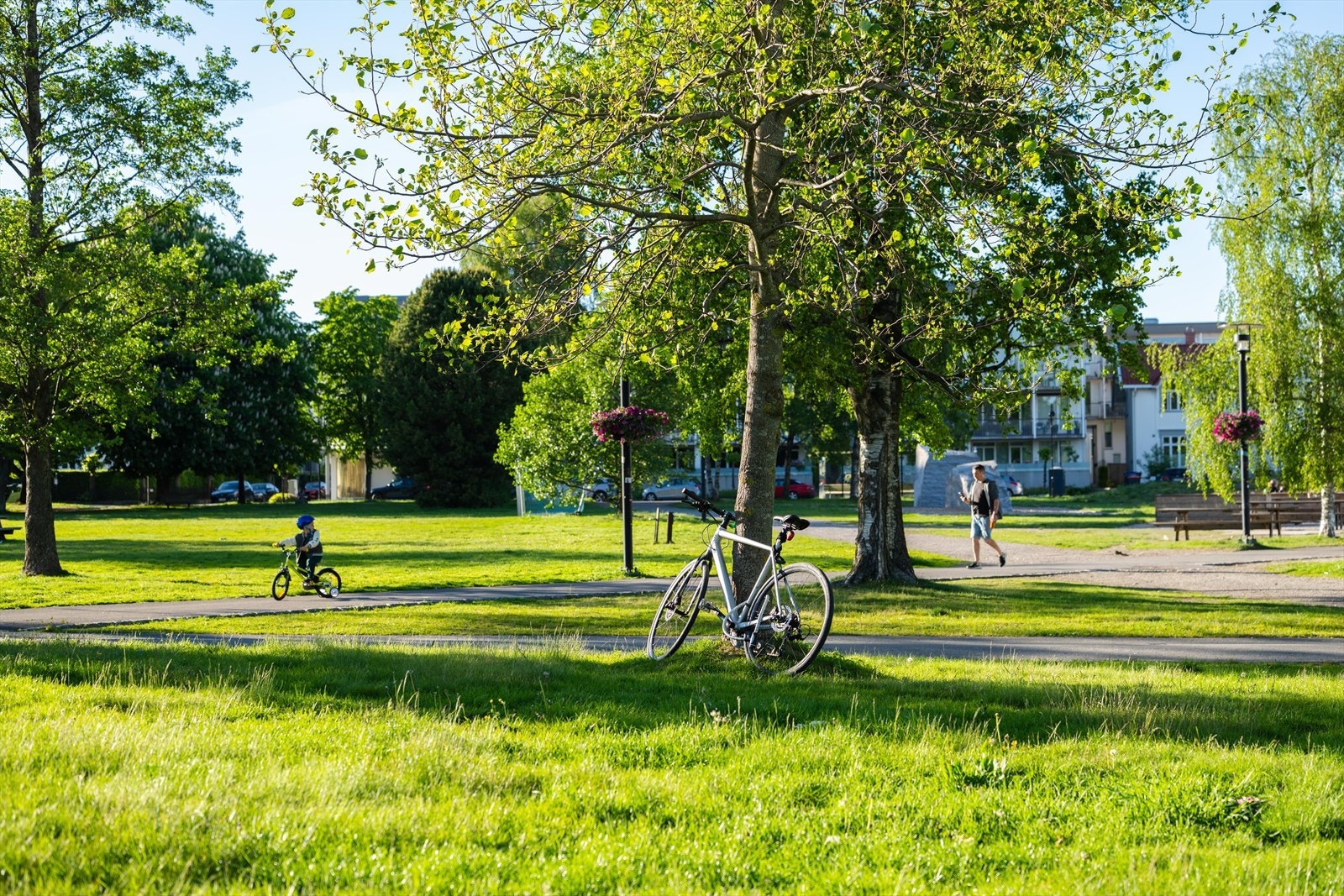 Grøntområder i Badeparken, et naturlig samlingspunkt på sommerdager. Galleribilde