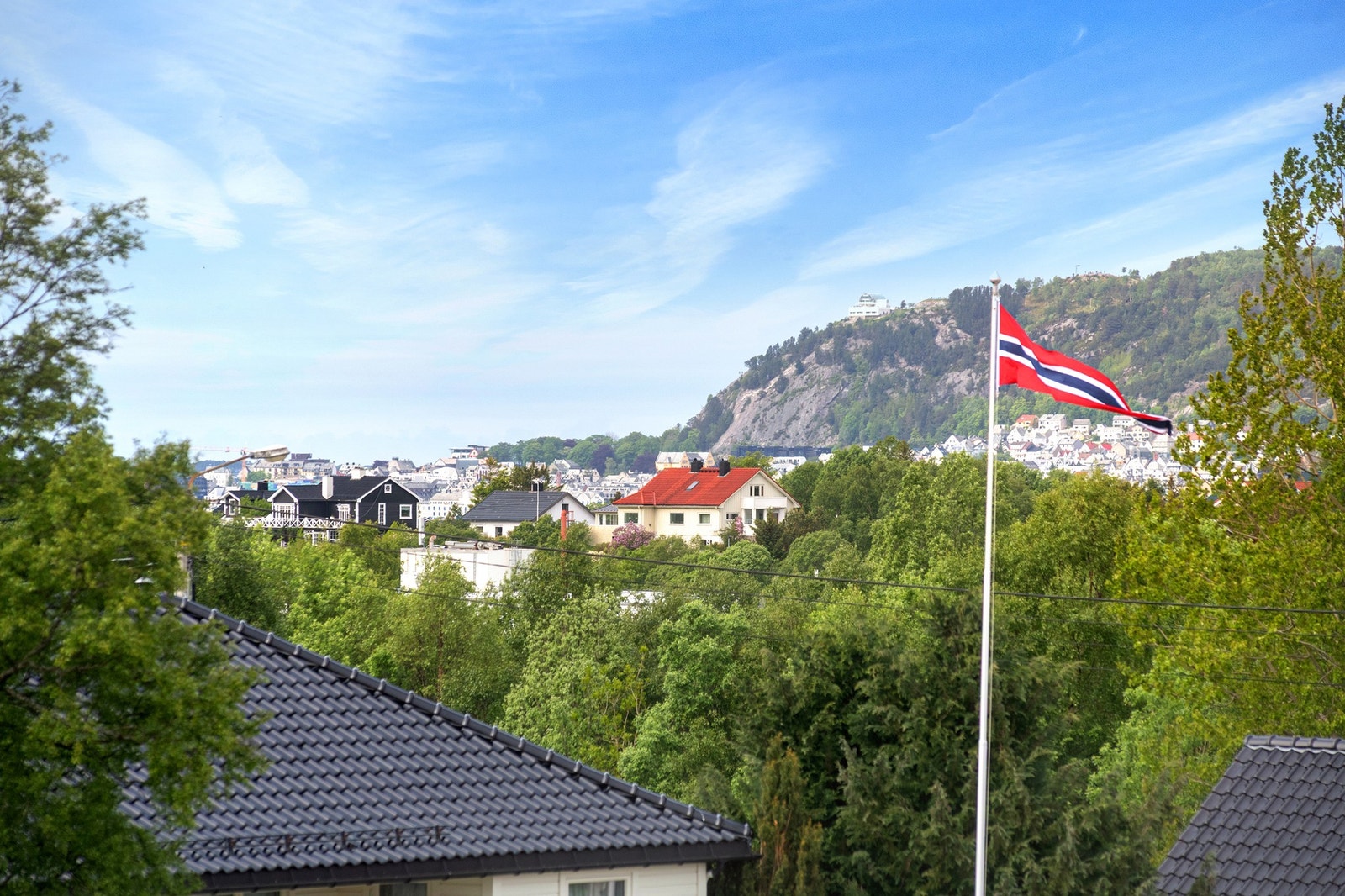 Utsikt Galleribilde