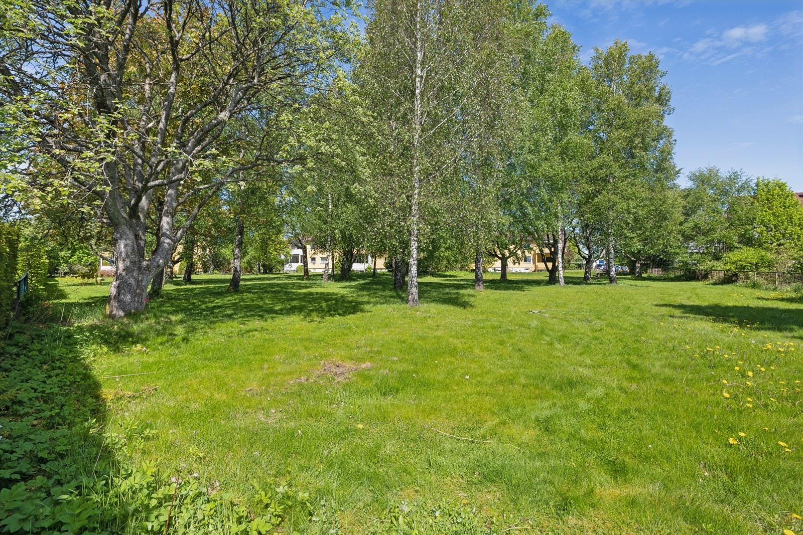 Parken er en av boligens nærmeste naboer Galleribilde