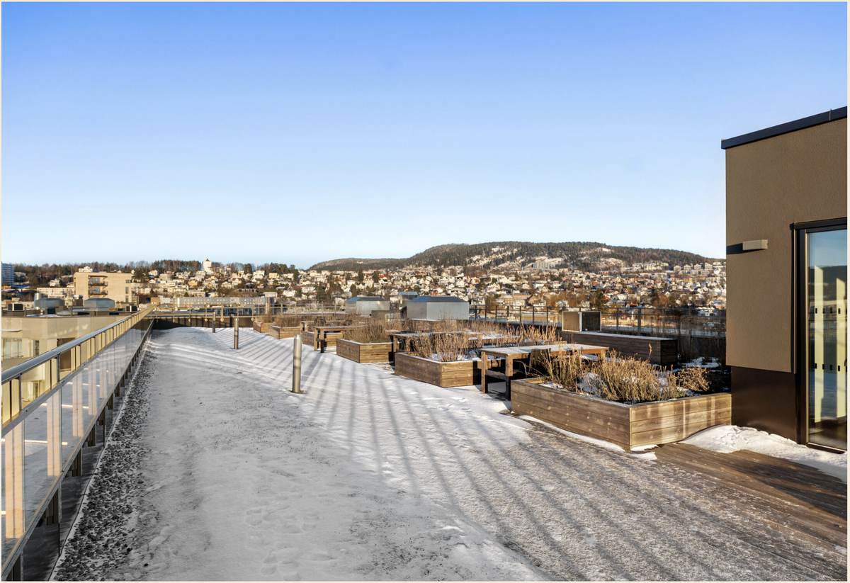 Felles takterrasse med fantastisk utsikt over Oslo Galleribilde