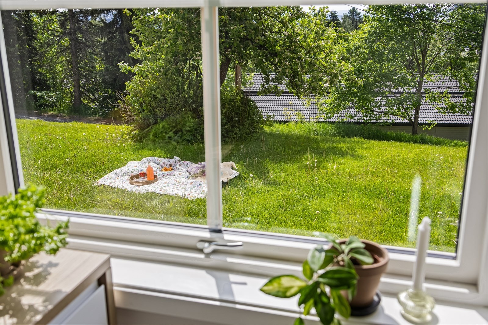 Utsikt fra vinduet mot de grønne fellesområdene. Galleribilde