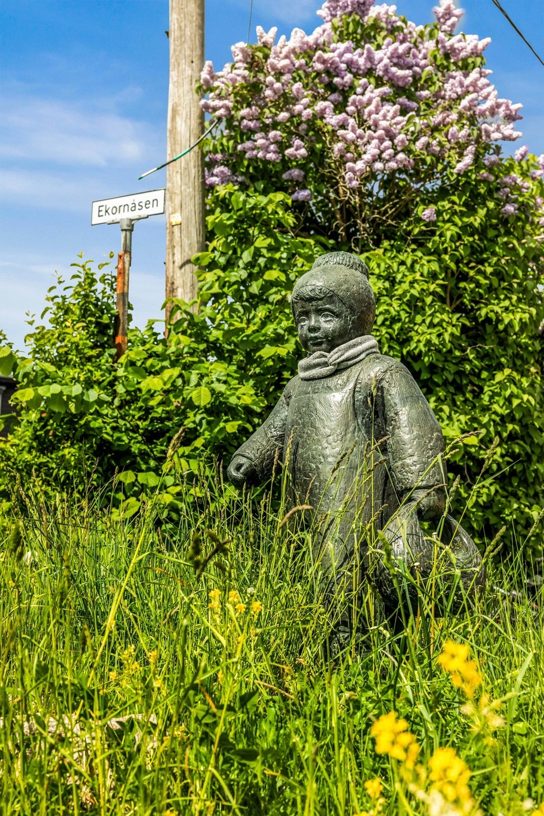 Velkommen til Ekornåsen ! Galleribilde