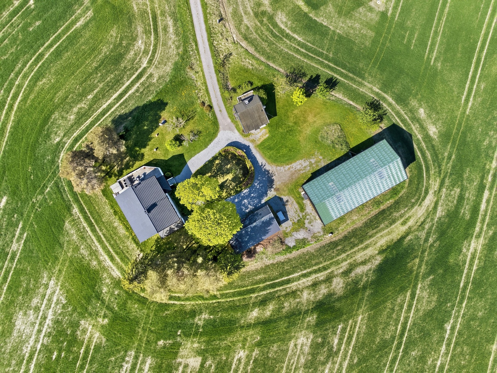 Fugleperspektiv Galleribilde