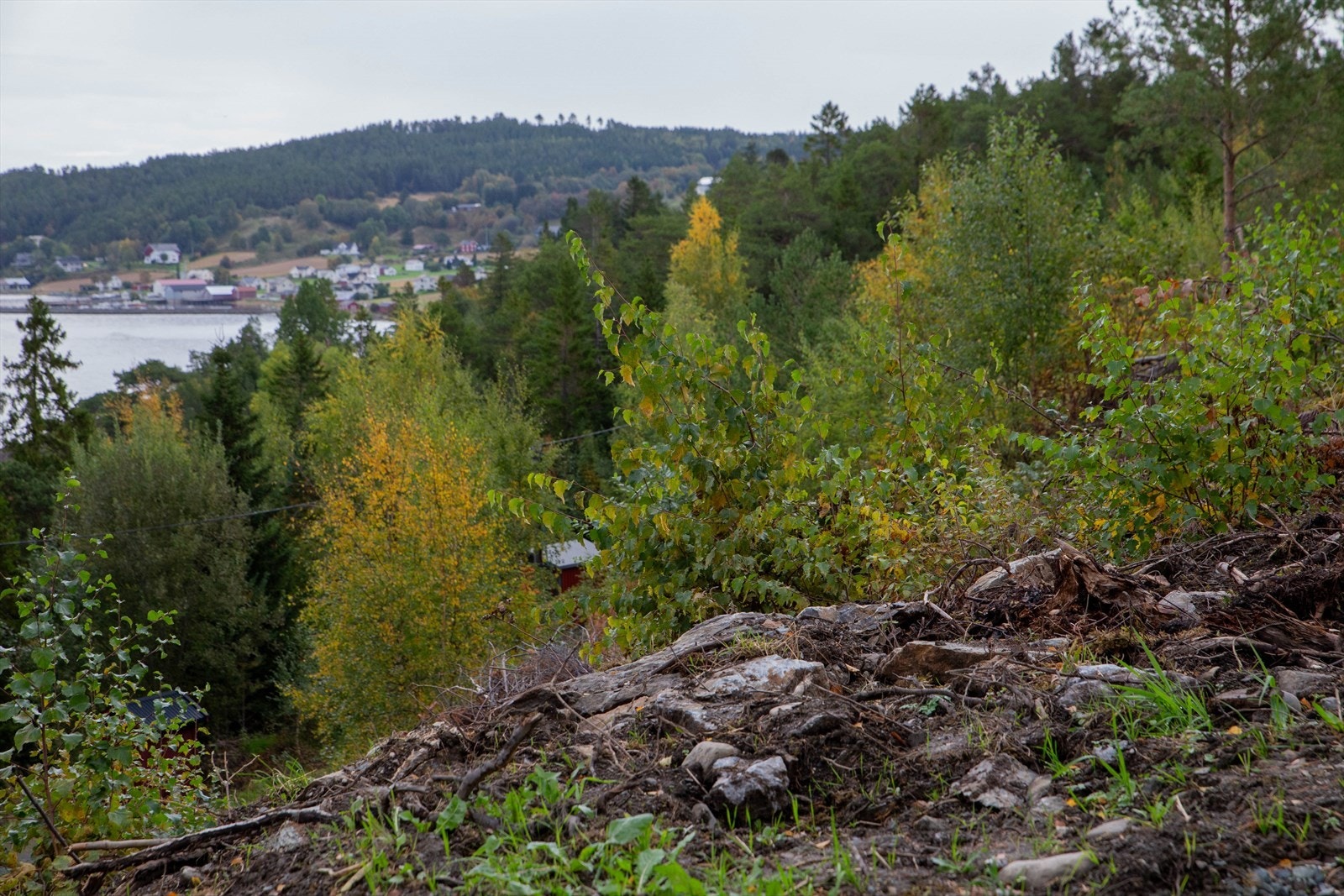 Det er gåavstand til Småland og småbåthavn fra tomten. Galleribilde
