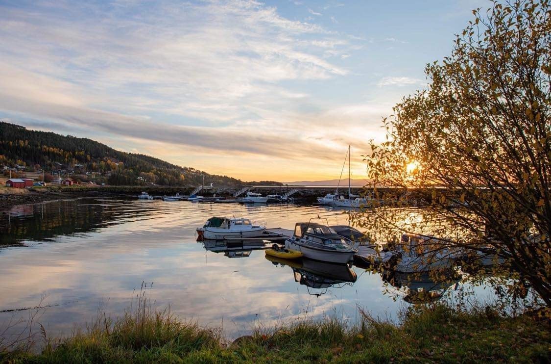 Bilde tatt fra båthavn i Småland - tatt opp mot tomten. Galleribilde