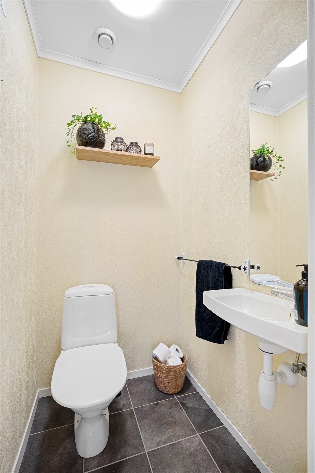 Gjestetoalett ligger vegg i vegg med hovedbadet med praktisk tilgang fra gangen. Galleribilde