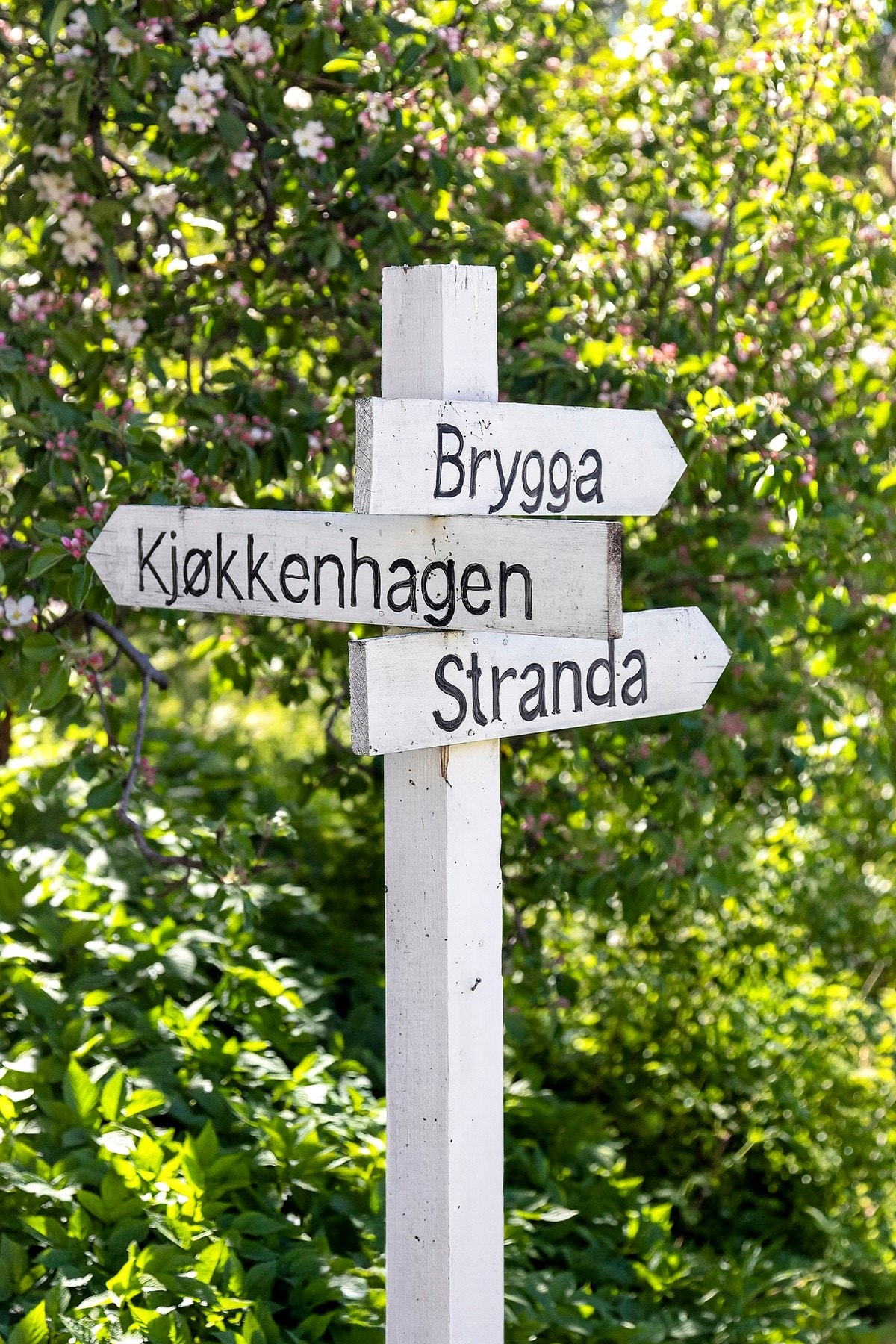 Sjarmerende skilting Galleribilde
