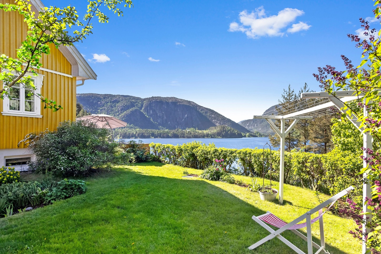 Plener og beplantning Galleribilde