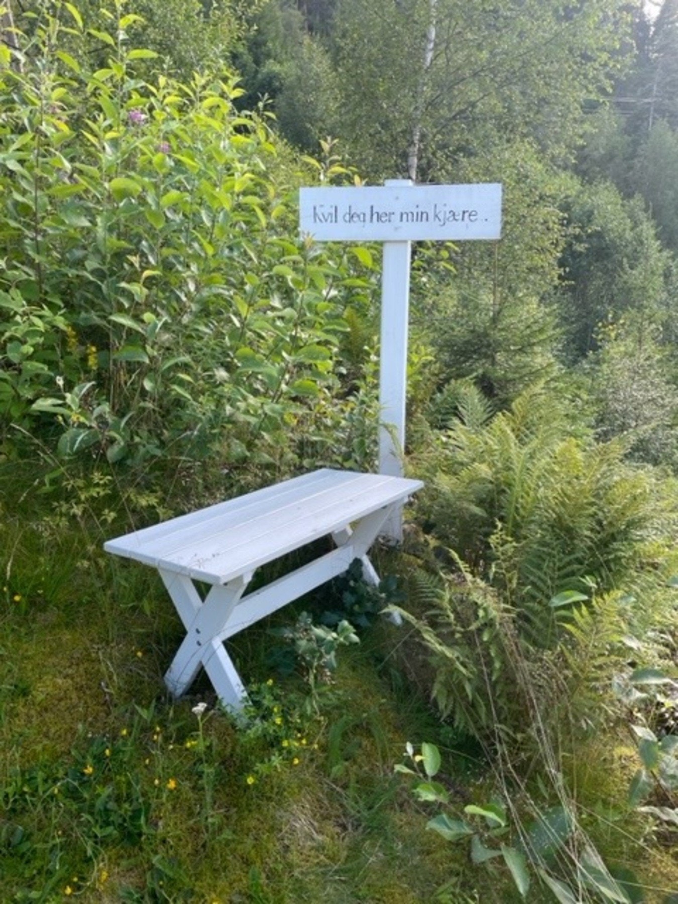 Ett sted å hvile på vei tilbake fra strandlivet er godt å ha.. Galleribilde