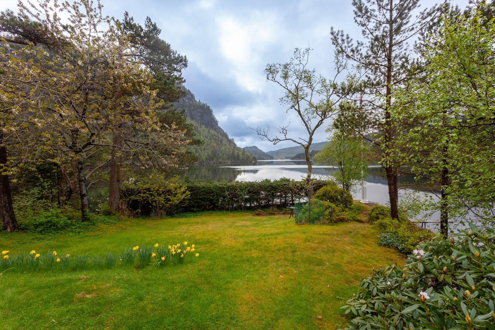 Utsikt over vannet fra hagen. Galleribilde