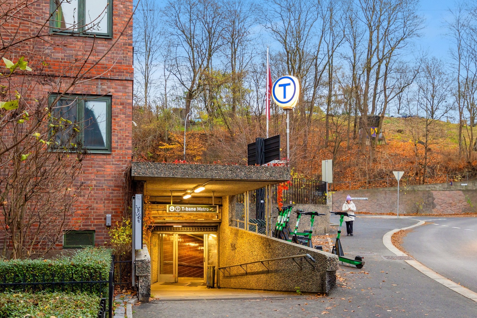 Nærområde Galleribilde