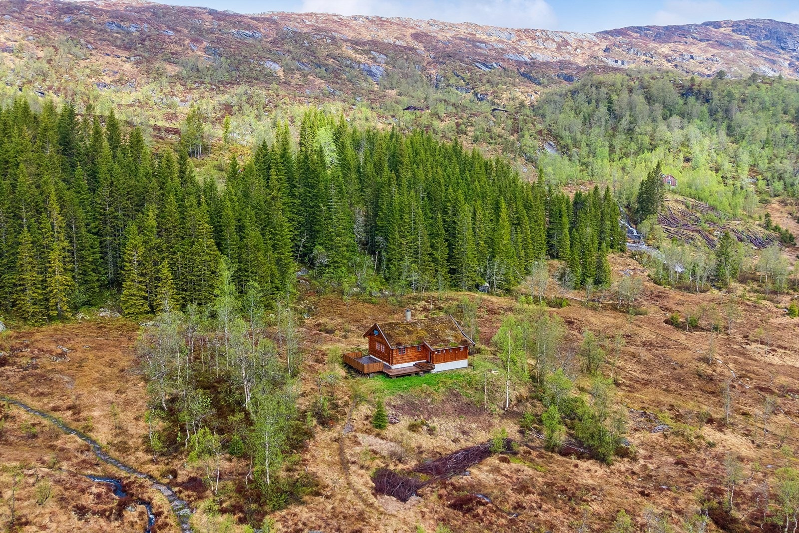 Ligger for seg selv i vakker natur. Galleribilde