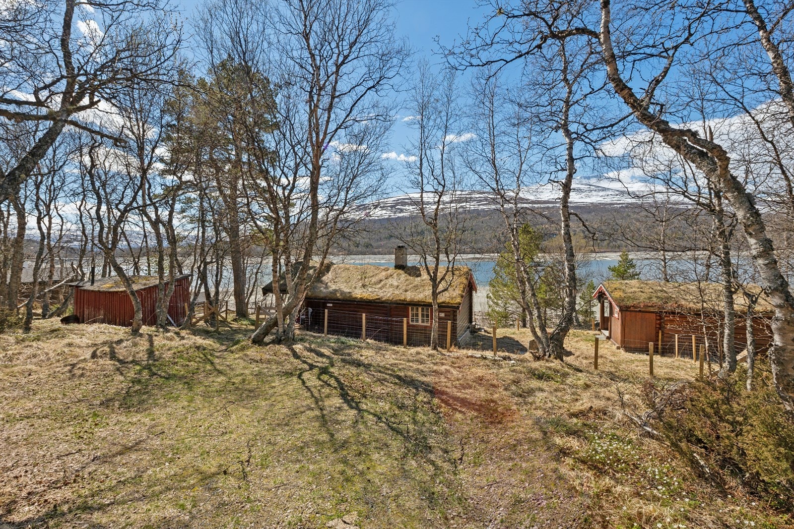 Både hytta, annekset og naustet har tradisjonelle torvtak som glir godt inn i landskapet. Galleribilde