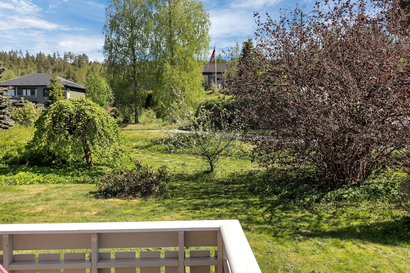 Opparbeidet hage med plen, hekk og prydbusker Galleribilde