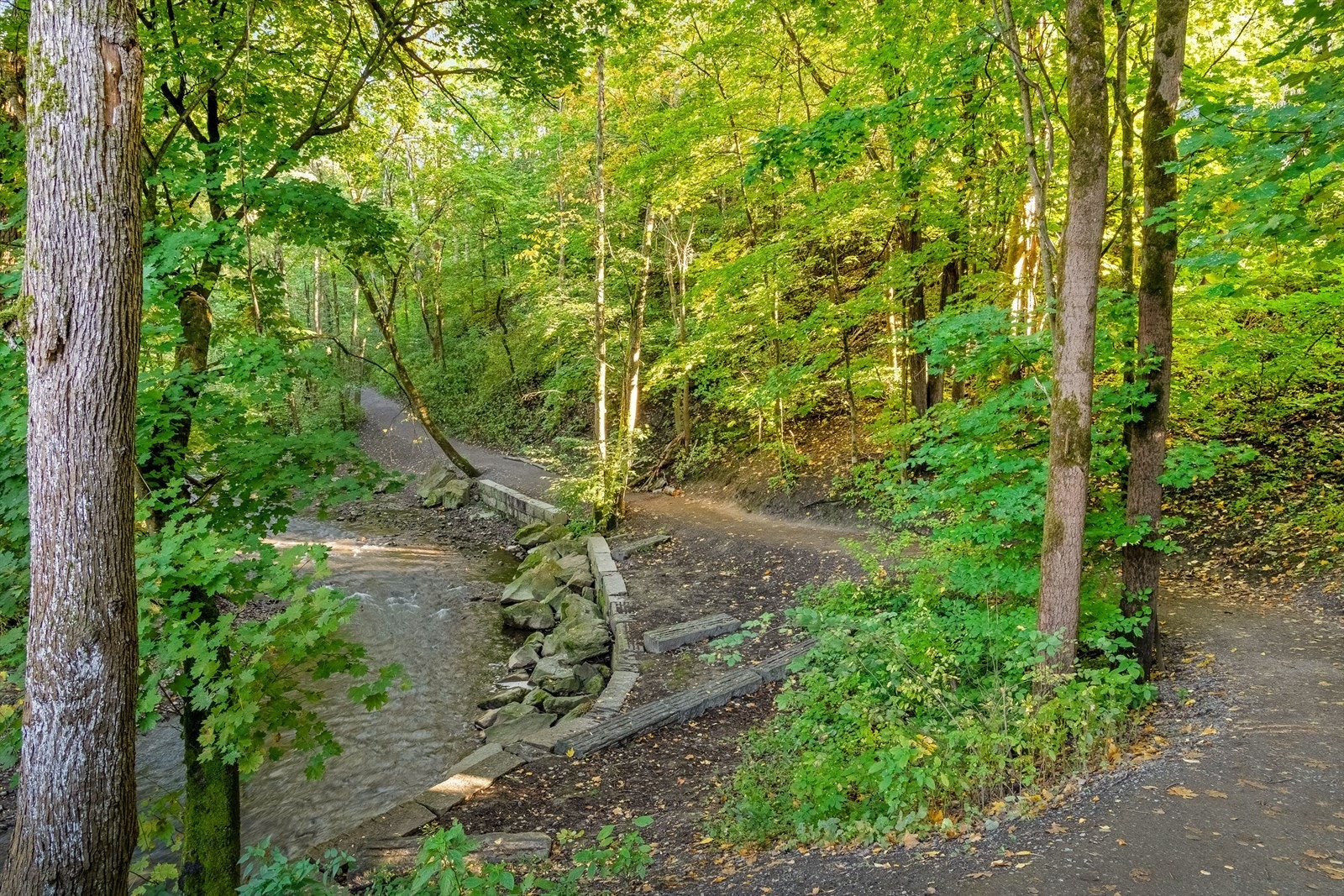 Fra eiendommen er det kort vei til turstiene i Svartdalsparken. Galleribilde
