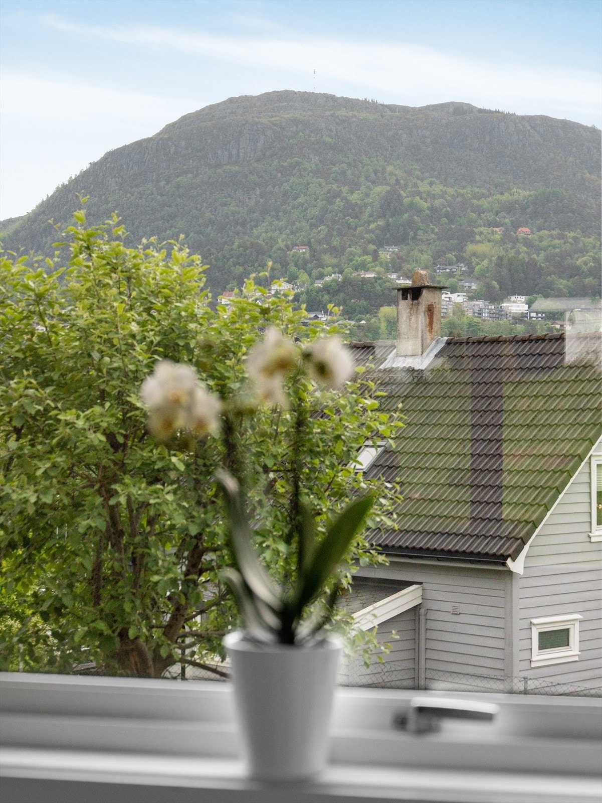 Fin utsikt fra stue. Galleribilde