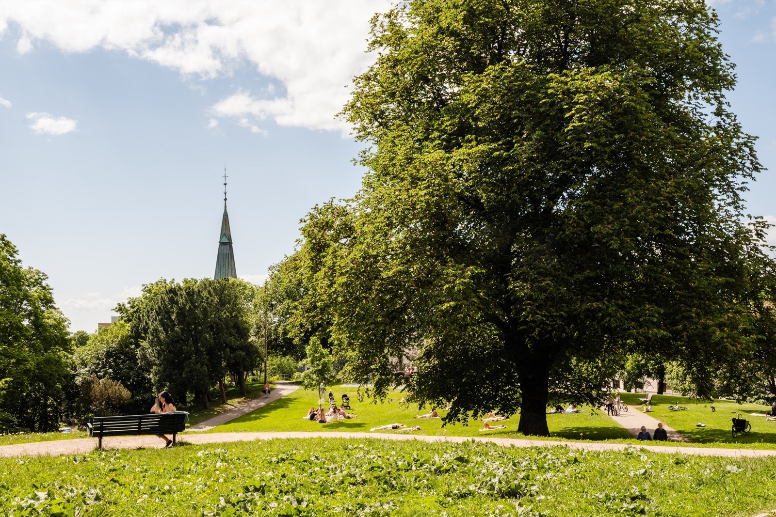 Kort vei til idylliske Stensparken og St. Hanshaugen, som byr på store grøntområder og rekreasjon. Galleribilde