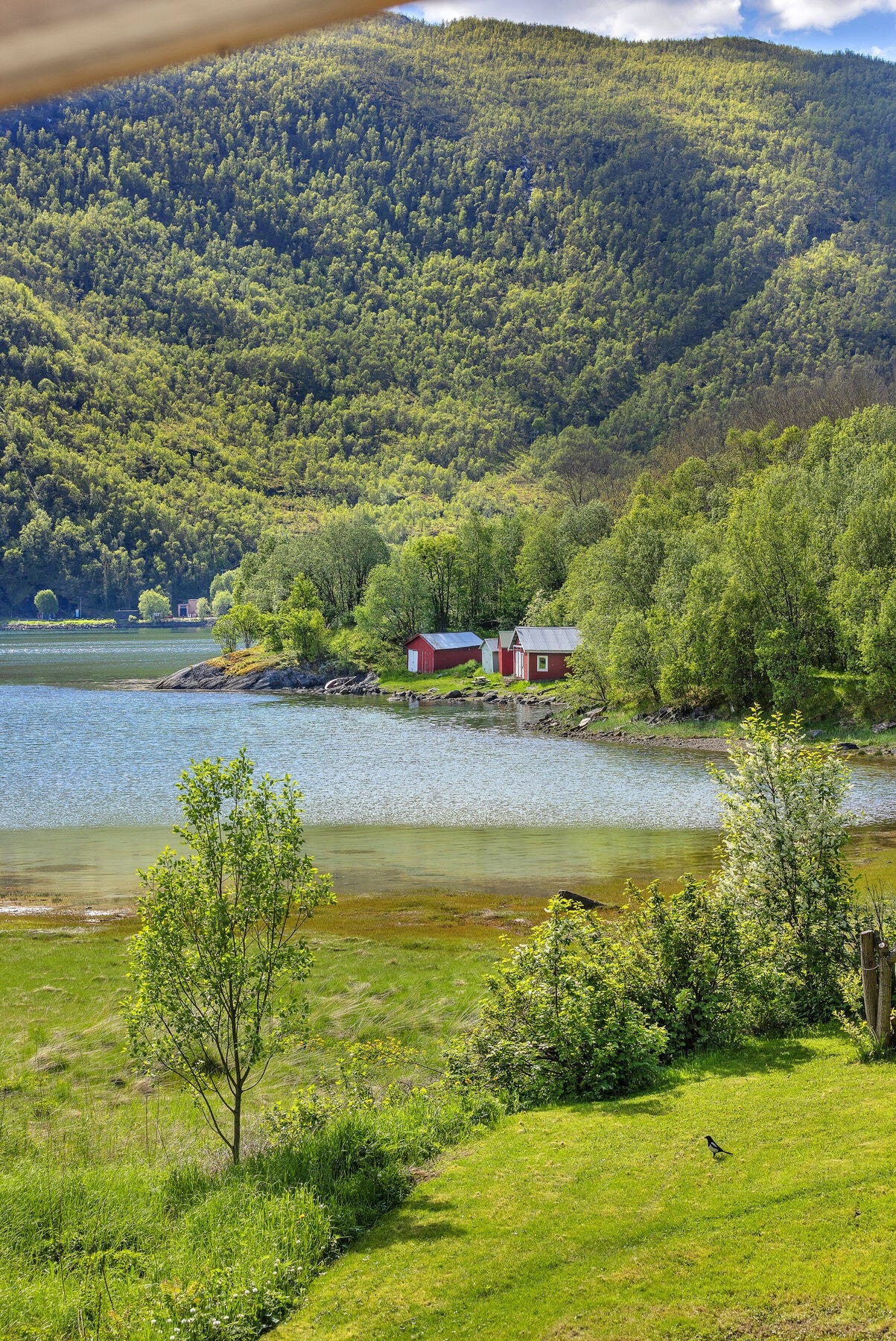 Idyllisk og usjenert beliggenhet rett ovenfor flomålet. Galleribilde