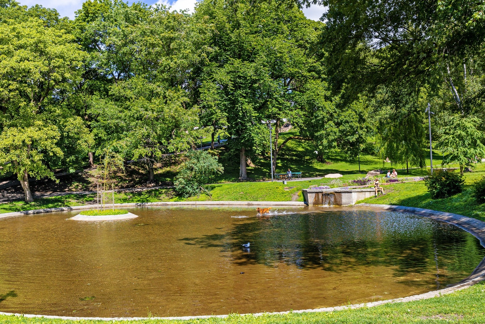 Boligen er omgitt av flere hyggelige parker, blant annet St. Hanshaugen park, Idioten og Stensparken Galleribilde