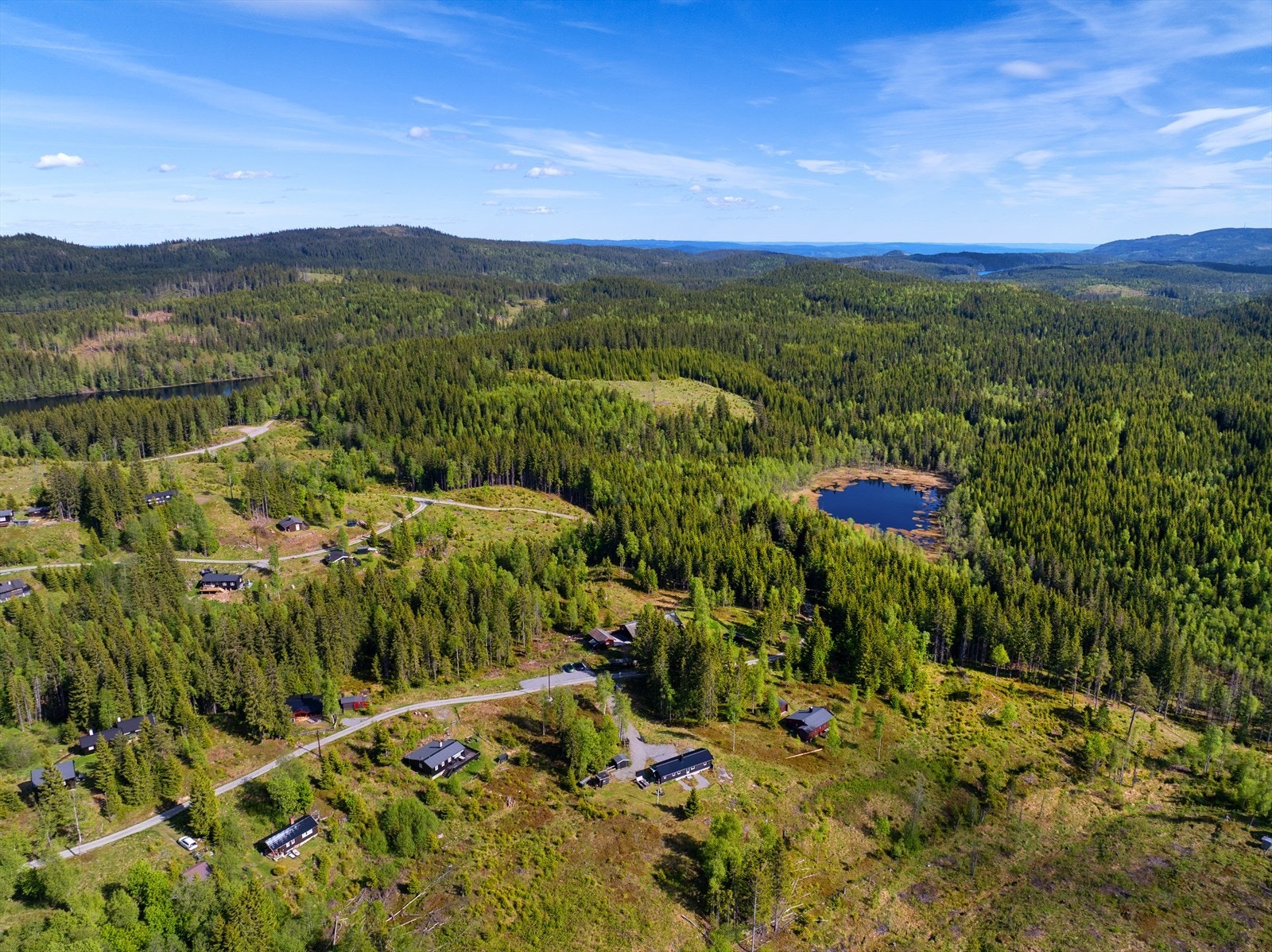 Sommerhalvåret gir tilgang til bade- og friluftsliv ved Hurdalsjøen, en av regionens største innsjøer. Holtjernet/Høltjenn skimtes i bakgrunnen. Galleribilde