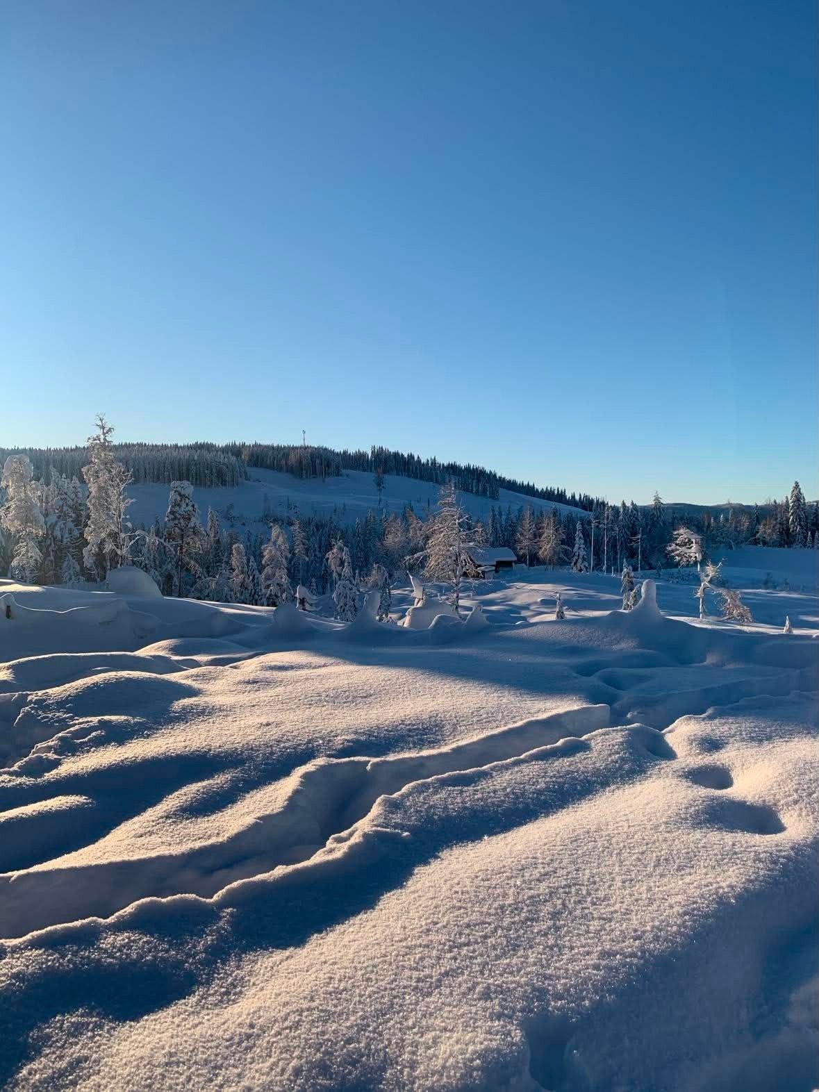 Vinterbilder tatt av selger. Hytta ligger på ca. 460 meter over havet! Alpinbakke er ca. 500 meter meter unna. Galleribilde