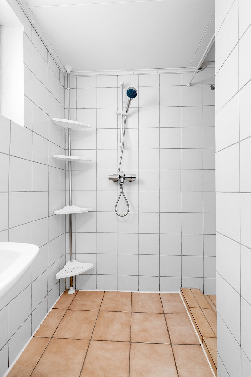 Dusjnisje med forheng og vegghengt dusjarmatur. Galleribilde