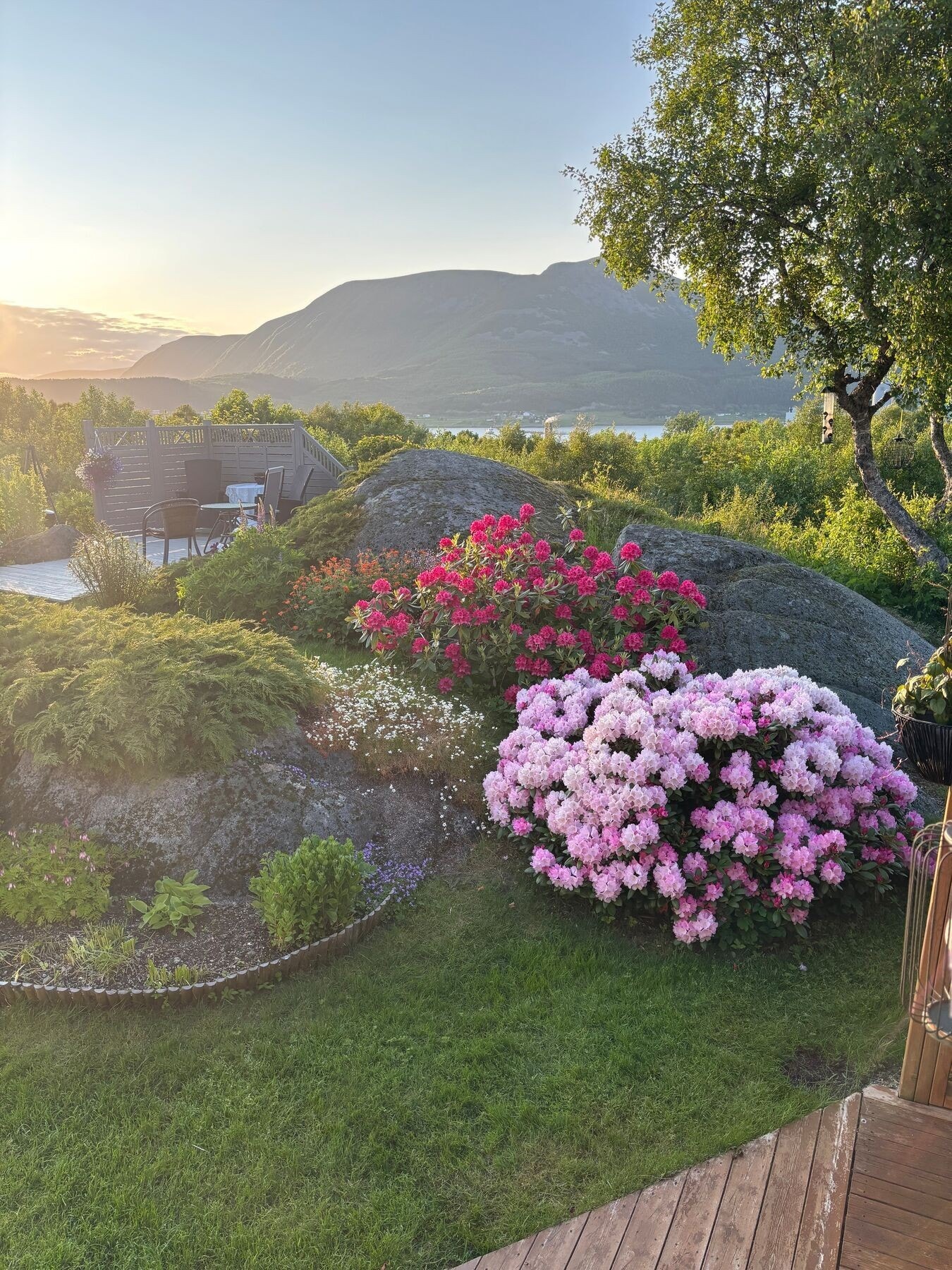 Hagen er frodig og veletablert med blant annet rhododendron. Galleribilde