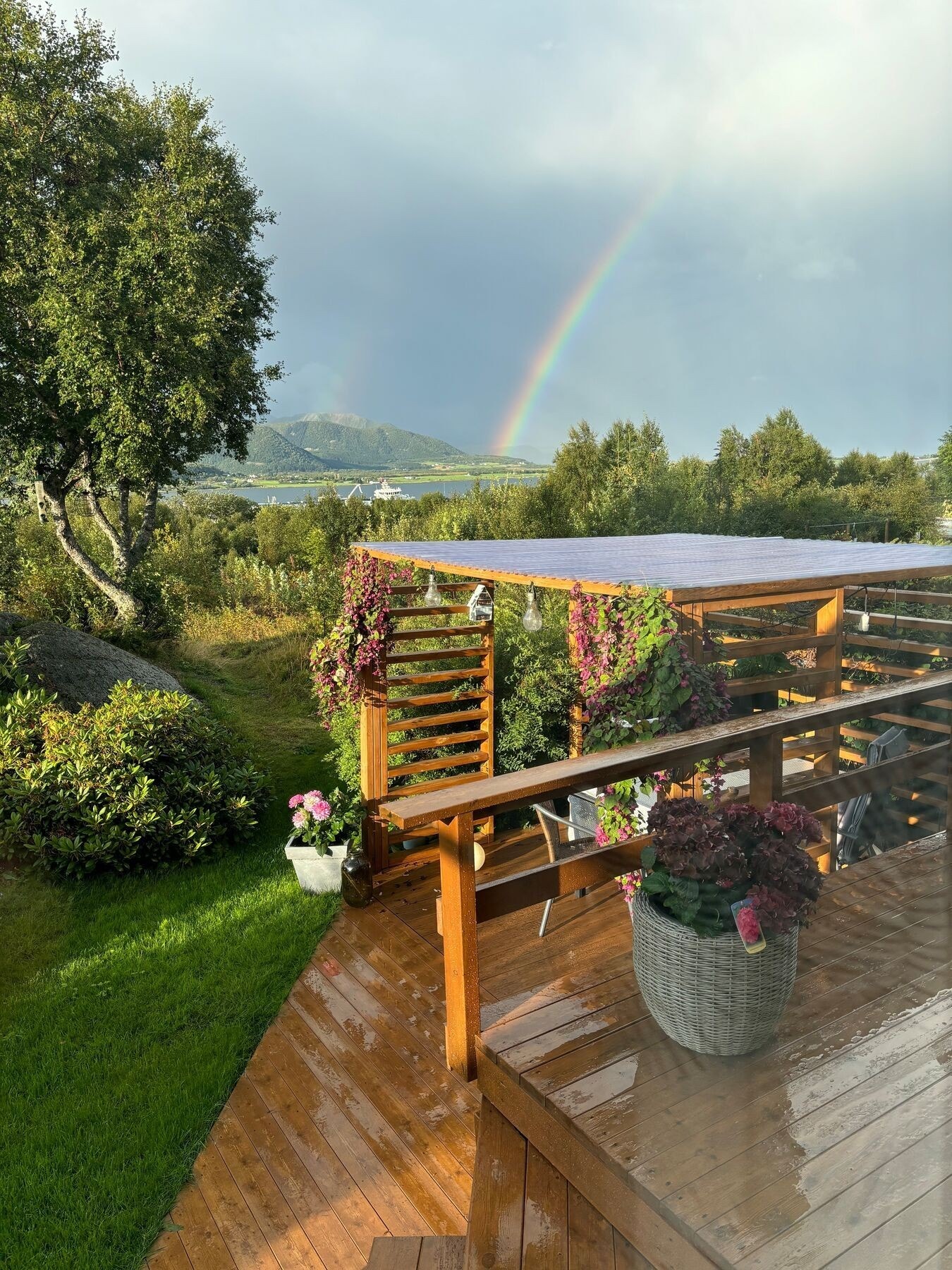 Utsikt over nærområdet og fjorden. Galleribilde