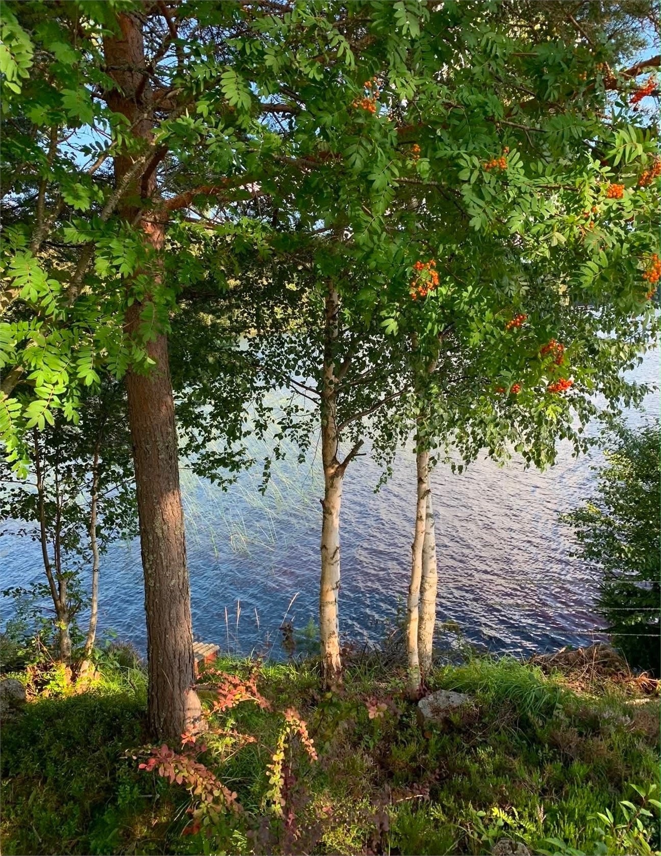 Säljarens bilder Galleribilde