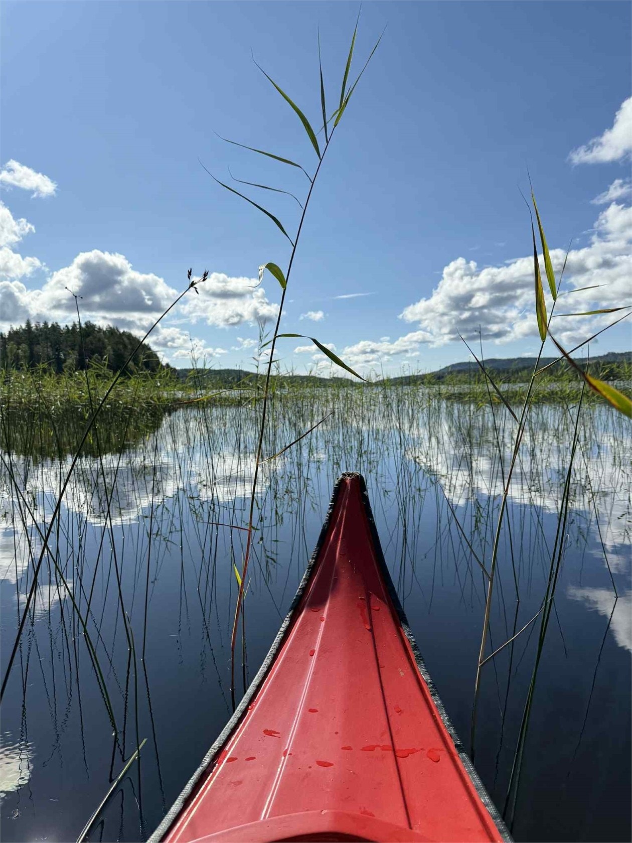 Säljarens bilder Galleribilde