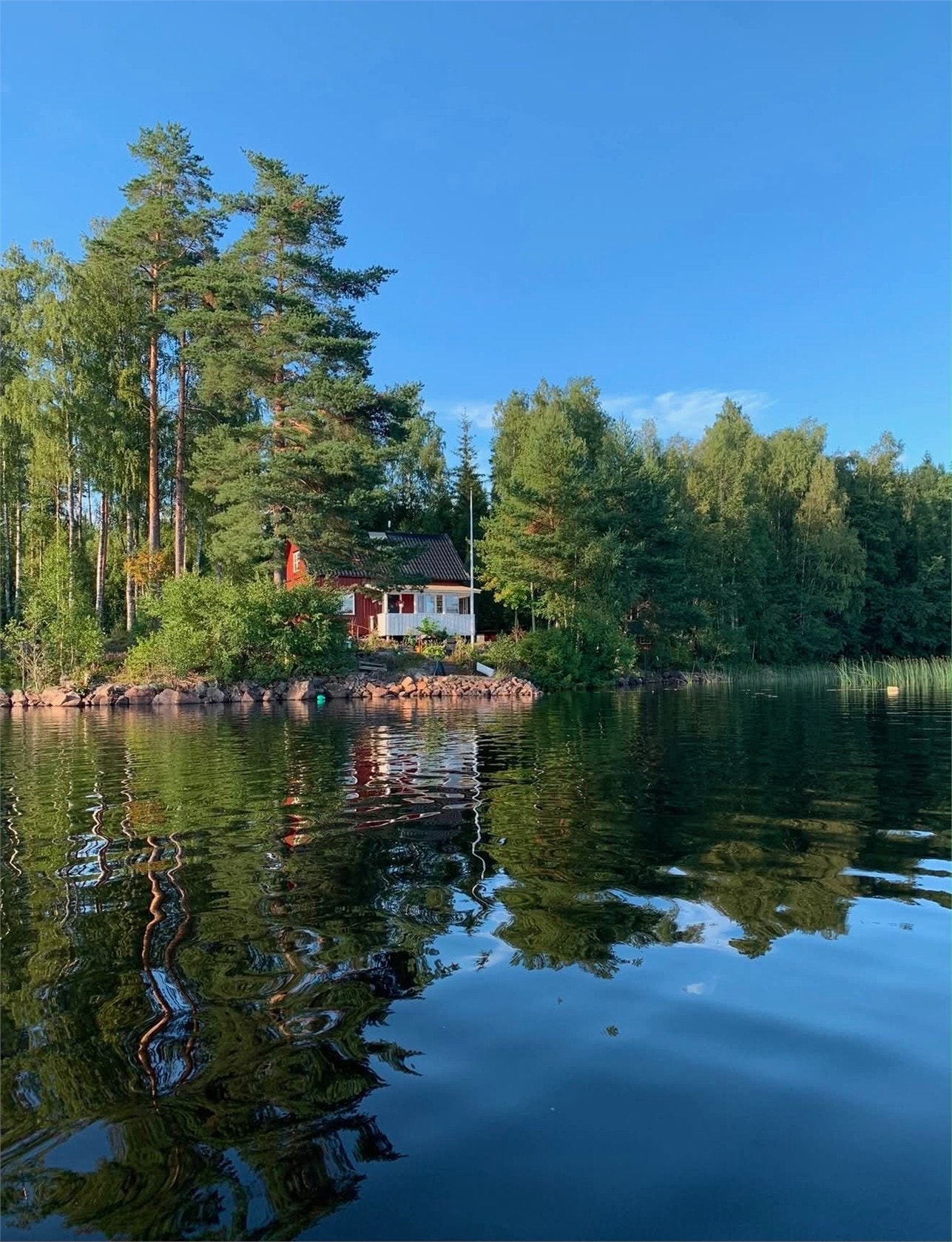 Säljarens bilder Galleribilde