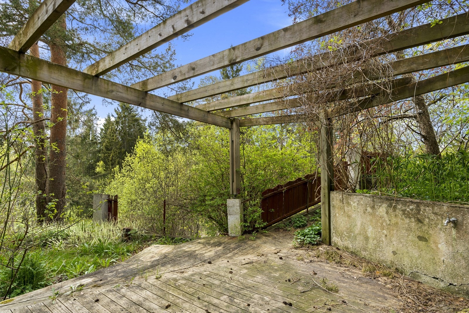 Terrasse Galleribilde