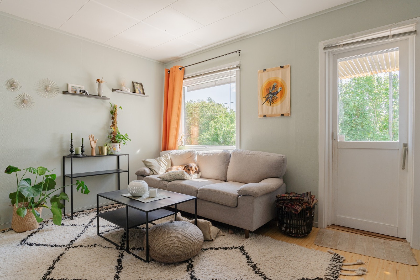 Noen nyter late dager i sofaen. Galleribilde