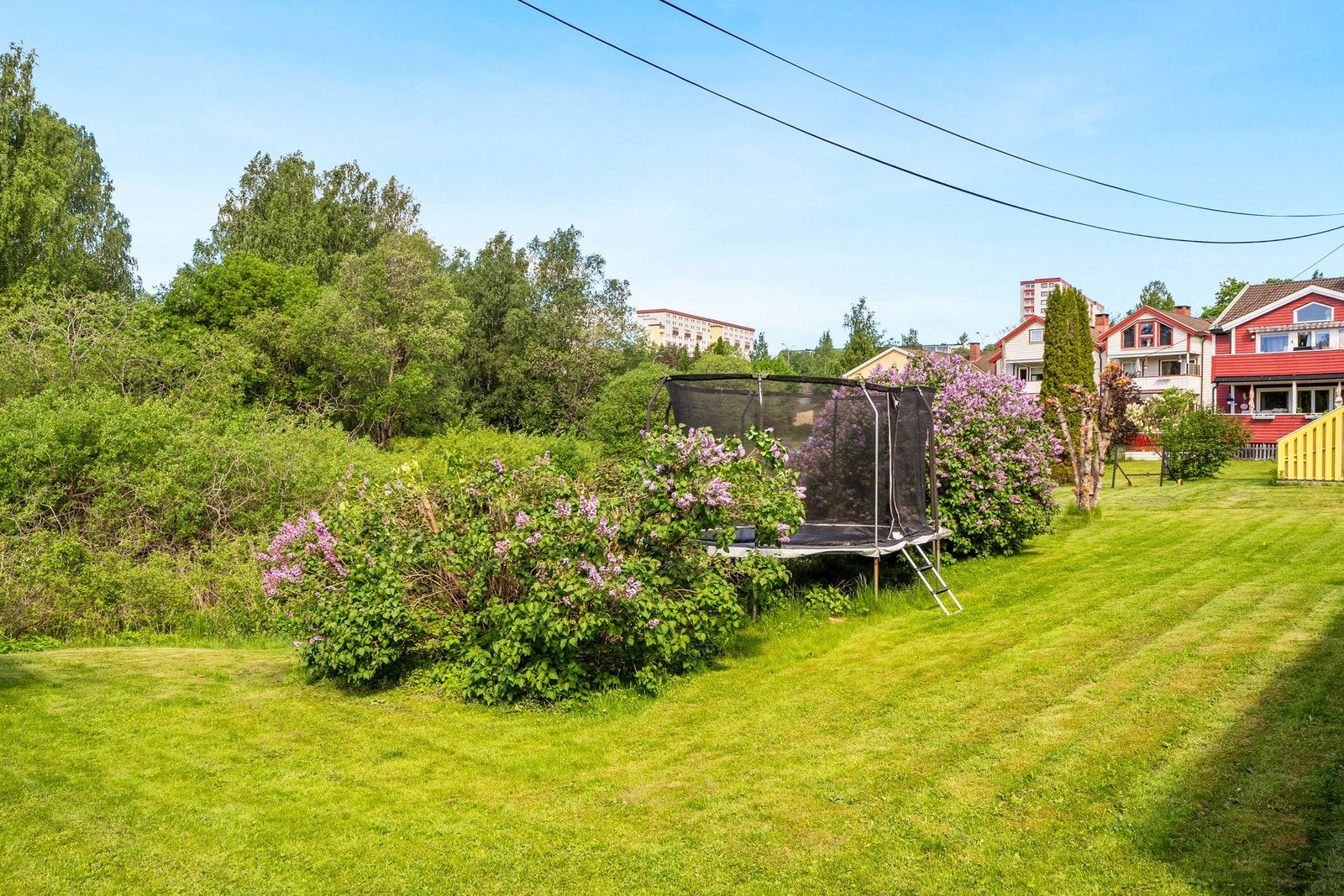 Området utenfor er en fantastisk grønn idyll Galleribilde