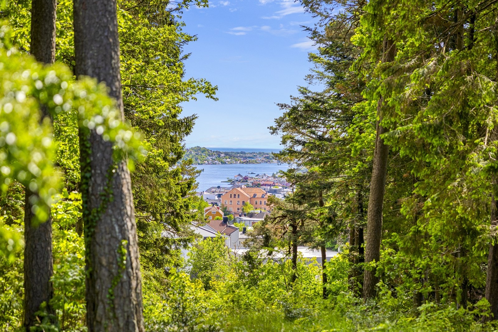 Beliggende skjermet, lunt og solrikt med utsikt over deler av Arendal og utover Galtesund. Galleribilde
