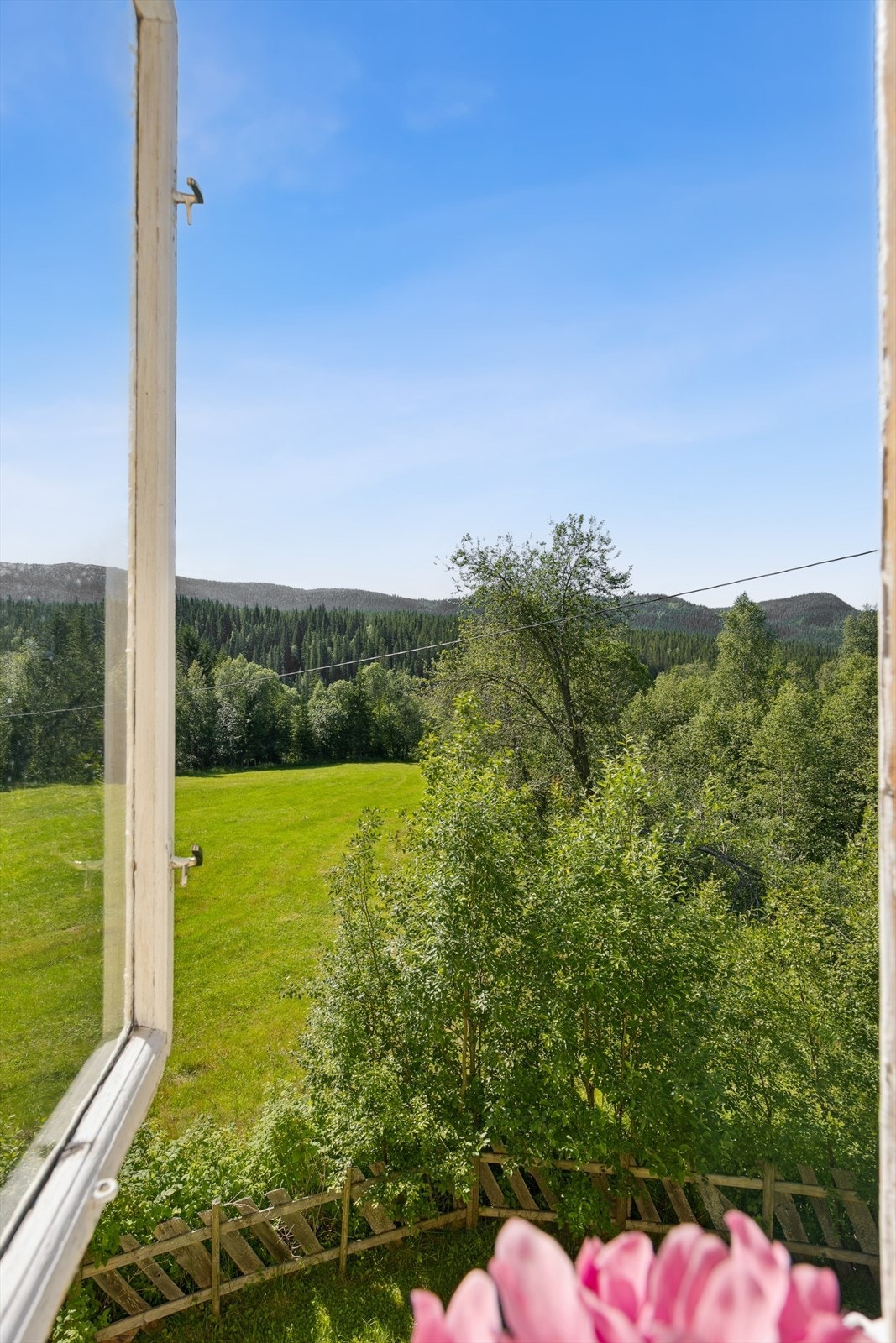 Utsikt Galleribilde