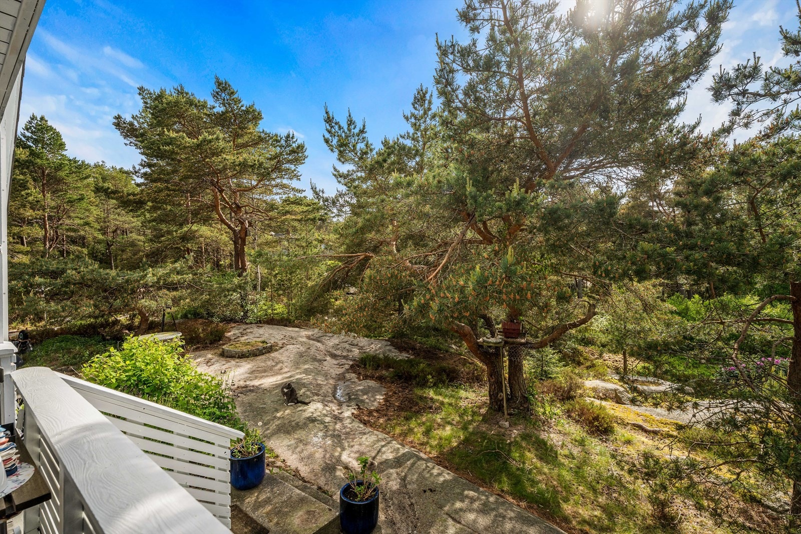 Fra terrassen er det trapp ned til den flotte hagen - Tomten er opparbeidet med busker, blomster og naturlig fjell i dagen. Galleribilde