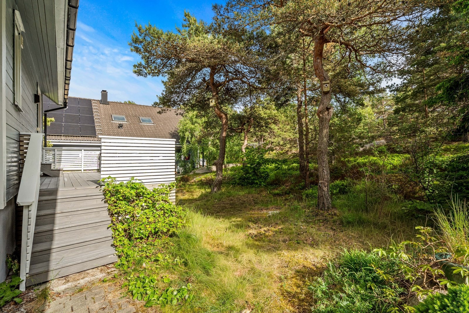 Uteområdet er omkranset av natur og ligger usjenert til. Galleribilde
