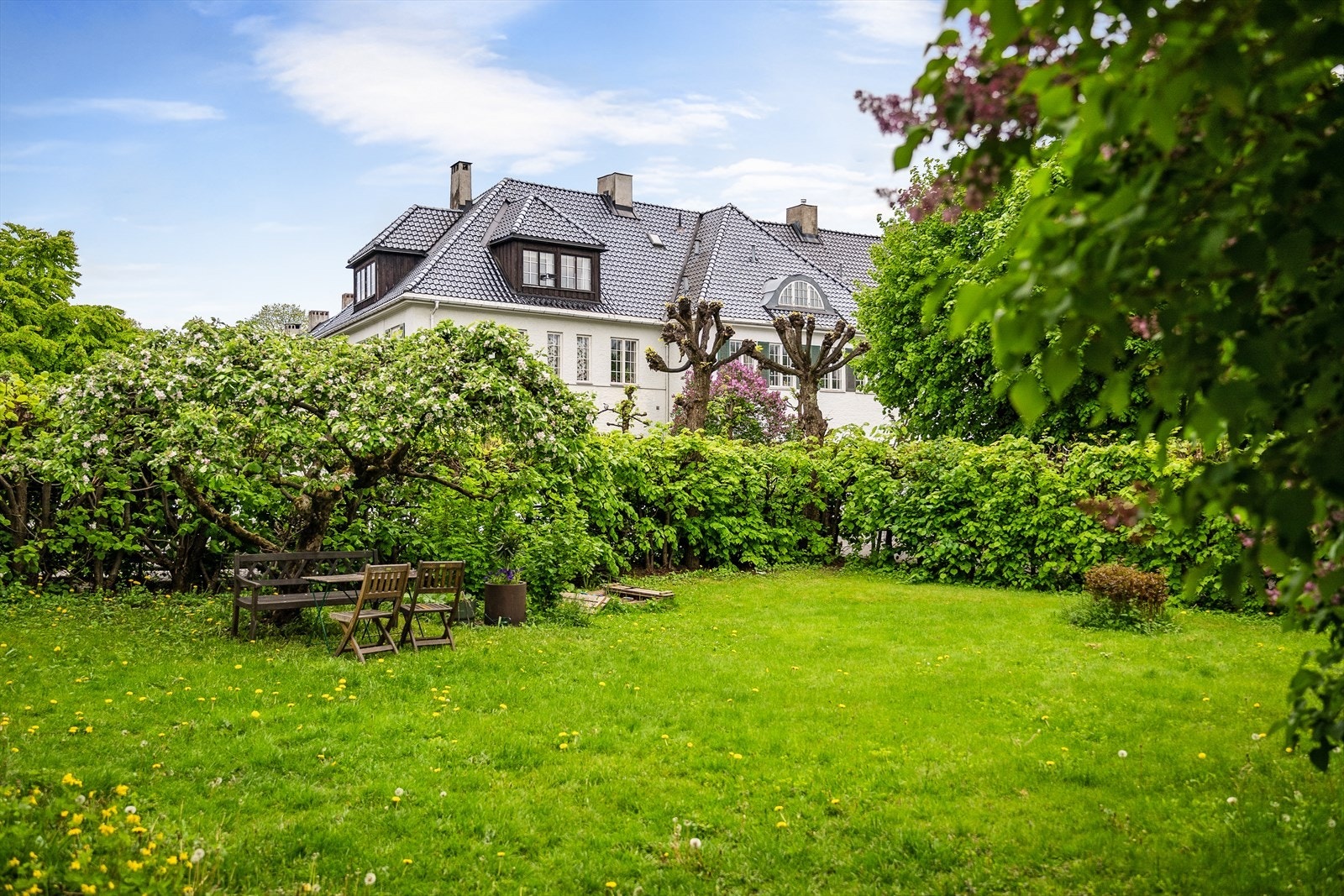 Grønne og frodige fellesområder. Galleribilde