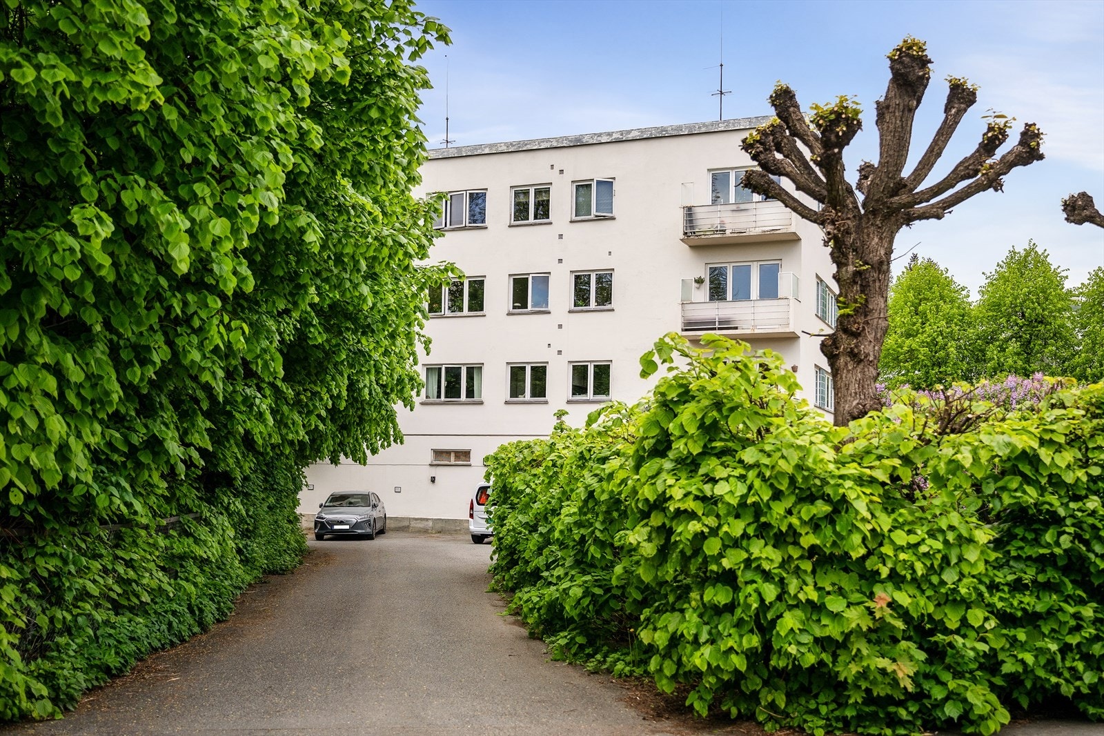 Det er gangavstand til flotte turmuligheter langs Frognerkilen og ut til Bygdøy. Galleribilde