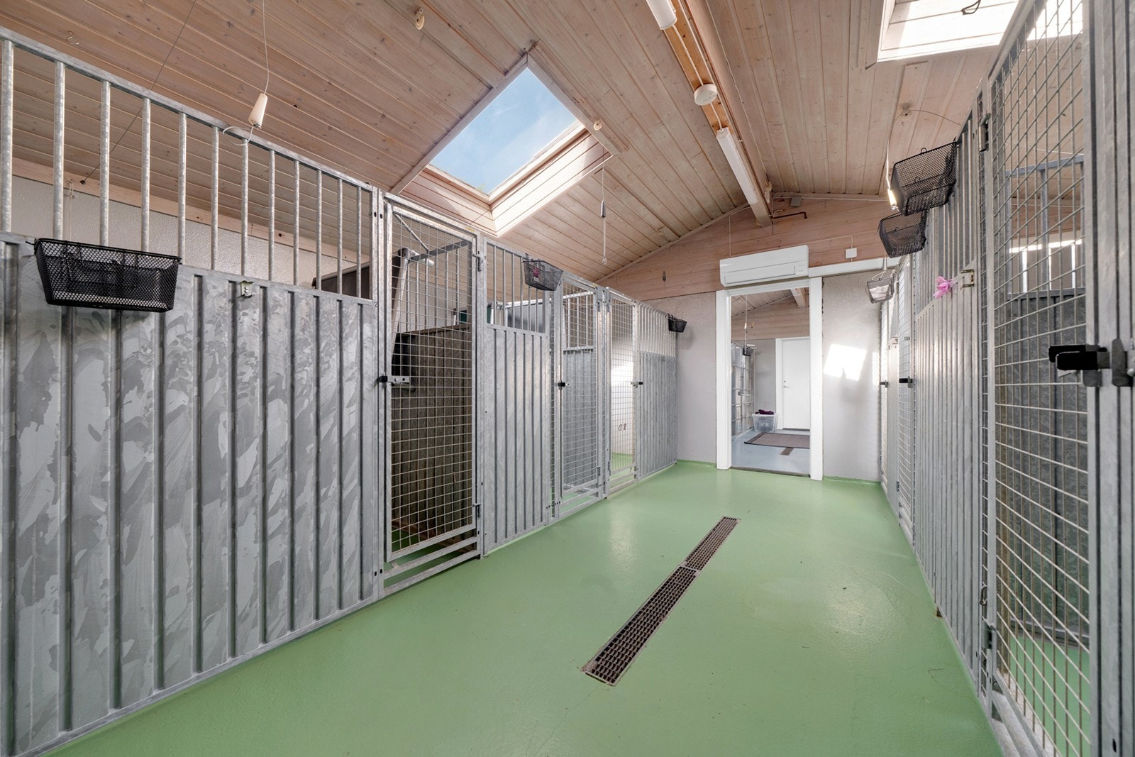 Innendørs kennelområde med separate båser og dreneringsløsning. Galleribilde