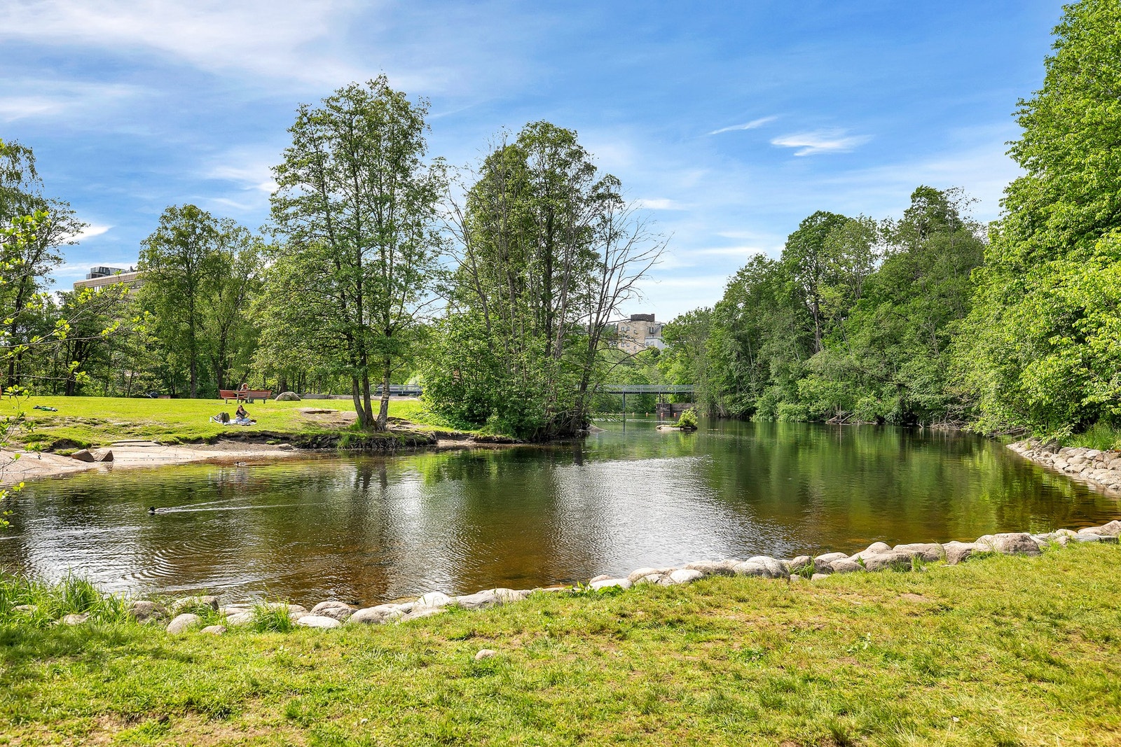 Nærområde. Galleribilde