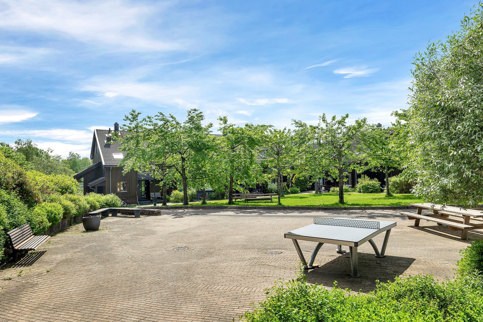 Fellesområde. Galleribilde